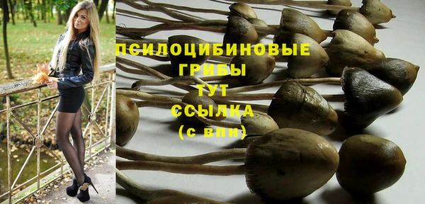 винт Алексин